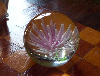 photo 003_0.jpg